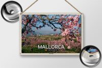 Blechschild Reise 30x20cm Mallorca Spanien Mandelblüten
