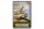 Blechschild Spruch 20x30cm Flugzeug Royal air force Age 18