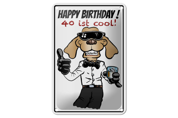 Blechschild Spruch 12x18cm Happy Birthday 40 is cool