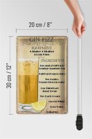 Blechschild Alkohol 20x30cm Gin Fizz Equipment ingredients