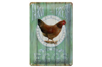 Blechschild Spruch 20x30cm Huhn Farm fresh Eggs free range