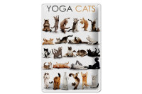 Blechschild Tiere 20x30cm Yoga Cats Katzen Schild