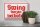 Blechschild Spruch 20x30cm Swing tanzen verboten