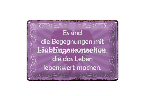 Blechschild Spruch 30x20cm Begegnungen Lieblingsmenschen