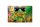 Blechschild Frosch 30x20cm Cocktail Mojito Summer Strand
