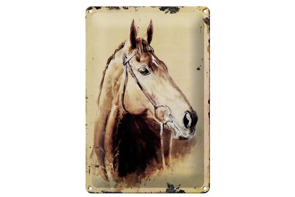 Blechschild Retro 20x30cm Portrait Pferd Kopf