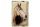 Blechschild Retro 20x30cm Portrait Pferd Kopf