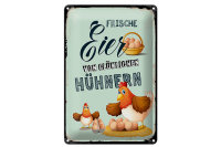 Blechschild Hinweis 20x30cm Frische Eier von...