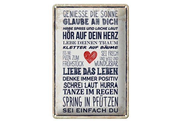 Blechschild Spruch 20x30cm genieße die Sonne