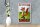 Blechschild Spruch 12x18cm der Fuchs ist schlau