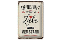 Blechschild Spruch 20x30cm Freundschaft ist sowas wie Liebe
