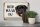 Blechschild Spruch 30x20cm holländisch Hier Waak ik Rottweiler