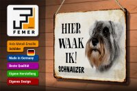 Blechschild Spruch 30x20cm holländisch Hier Waak ik Schnauzer Hund