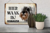 Blechschild Spruch 30x20cm holländisch Hier Waak ik Schnauzer Hund