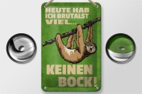 Blechschild Spruch 12x18cm heute habe ich brutalst viel