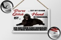 Blechschild Spruch 18x12cm pures Glück ist Zeit mit Hund