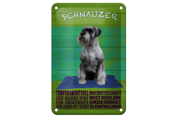 Blechschild Spruch 12x18cm Schnauzer Hund temperamentvoll