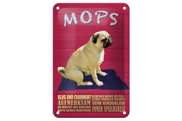 Blechschild Spruch 12x18cm Mops Hund klug und charmant