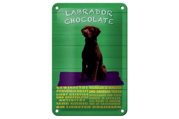 Blechschild Spruch 12x18cm Labrador Chocolate Hund