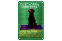 Blechschild Spruch 12x18cm Labrador Chocolate Hund