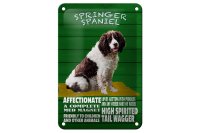 Blechschild Spruch 12x18cm Springer Spaniel Hund friendly