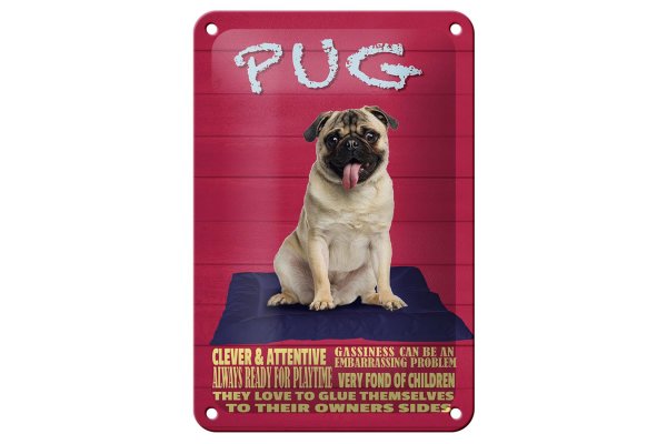 Blechschild Spruch 12x18cm Pug Hund clever attentive