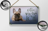 Blechschild Hund 18x12cm Französische Bulldogge hier