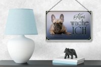Blechschild Hund 18x12cm Französische Bulldogge hier