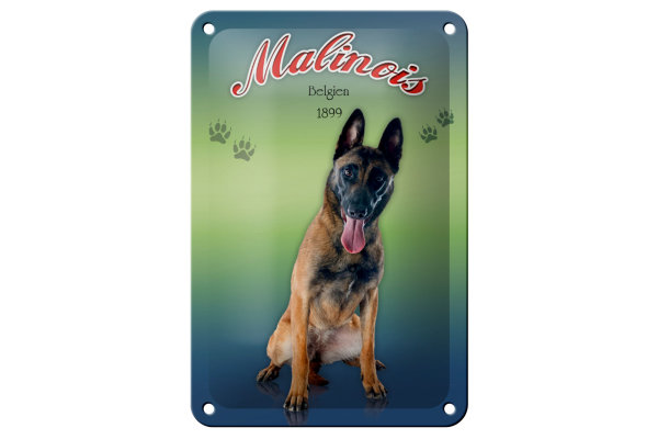 Blechschild Hund 12x18cm Malinois Belgien 1899