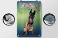 Blechschild Hund 12x18cm Malinois Belgien 1899