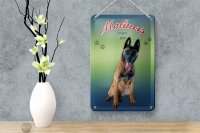 Blechschild Hund 12x18cm Malinois Belgien 1899