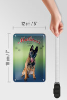 Blechschild Hund 12x18cm Malinois Belgien 1899