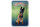 Blechschild Hund 12x18cm Malinois Belgien 1899
