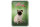 Blechschild Hund 12x18cm Mops Kaiserreich China
