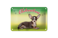 Blechschild Hund 18x12cm Chihuahua Mexiko Wanddeko
