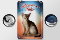 Blechschild Katze 12x18cm Abessinier Katze Wanddeko