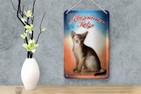 Blechschild Katze 12x18cm Abessinier Katze Wanddeko