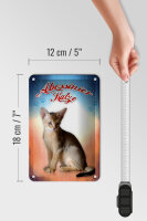 Blechschild Katze 12x18cm Abessinier Katze Wanddeko
