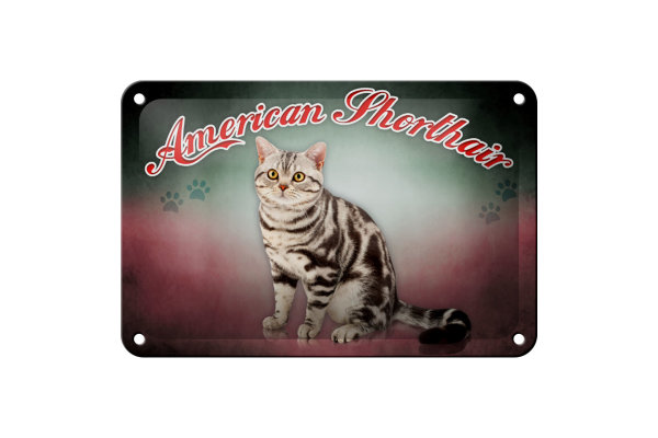 Blechschild Katze 18x12cm American Shorthair Wanddeko