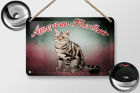 Blechschild Katze 18x12cm American Shorthair Wanddeko