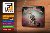 Blechschild Katze 18x12cm American Shorthair Wanddeko