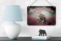 Blechschild Katze 18x12cm American Shorthair Wanddeko