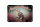 Blechschild Katze 18x12cm American Shorthair Wanddeko