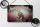 Blechschild Katze 18x12cm American Shorthair Wanddeko