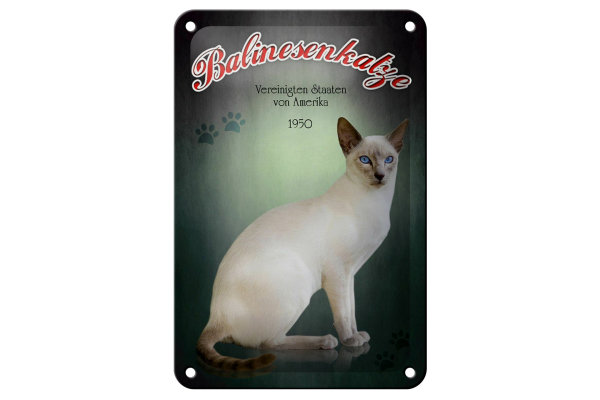 Blechschild Katze 12x18cm Balinesenkatze Amerika 1950