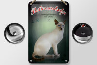 Blechschild Katze 12x18cm Balinesenkatze Amerika 1950