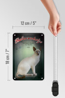 Blechschild Katze 12x18cm Balinesenkatze Amerika 1950