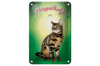 Blechschild Katze 12x18cm Bengalkatze 1792 Wanddeko