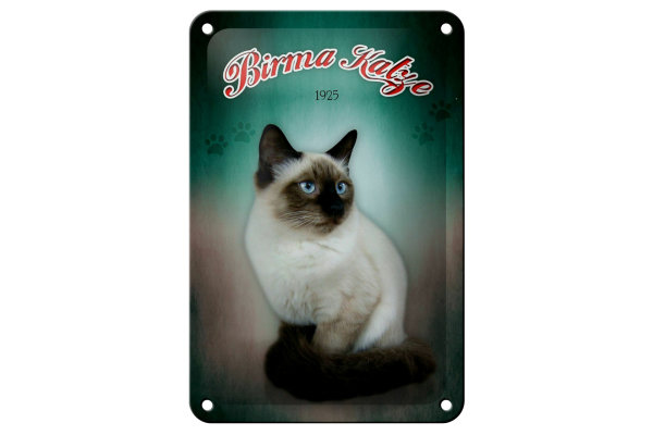 Blechschild Katze 12x18cm Birma Katze 1925 Wanddeko
