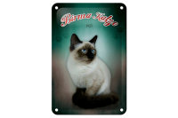 Blechschild Katze 12x18cm Birma Katze 1925 Wanddeko